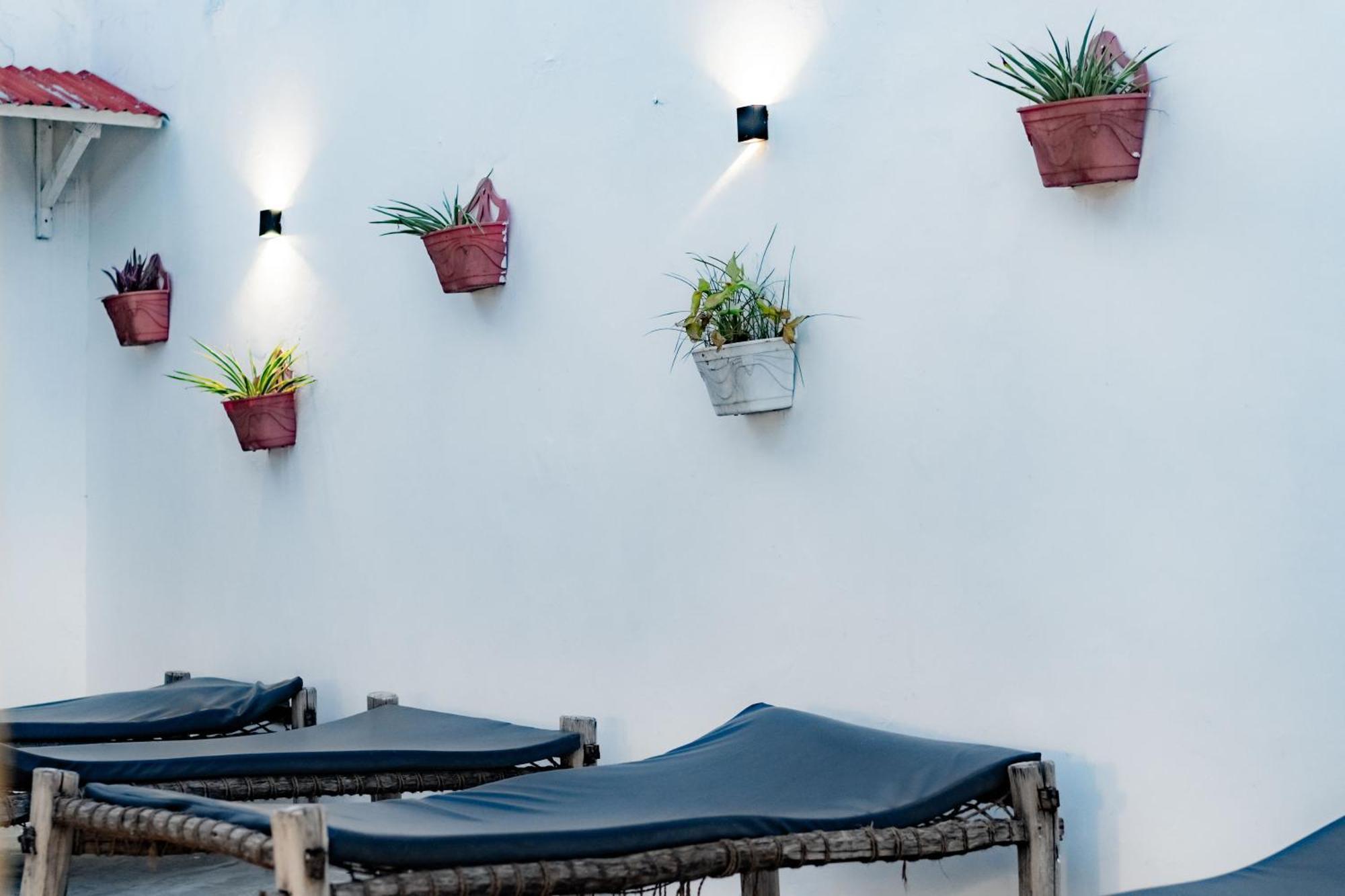 Zanzi House Otel Zanzibar Dış mekan fotoğraf