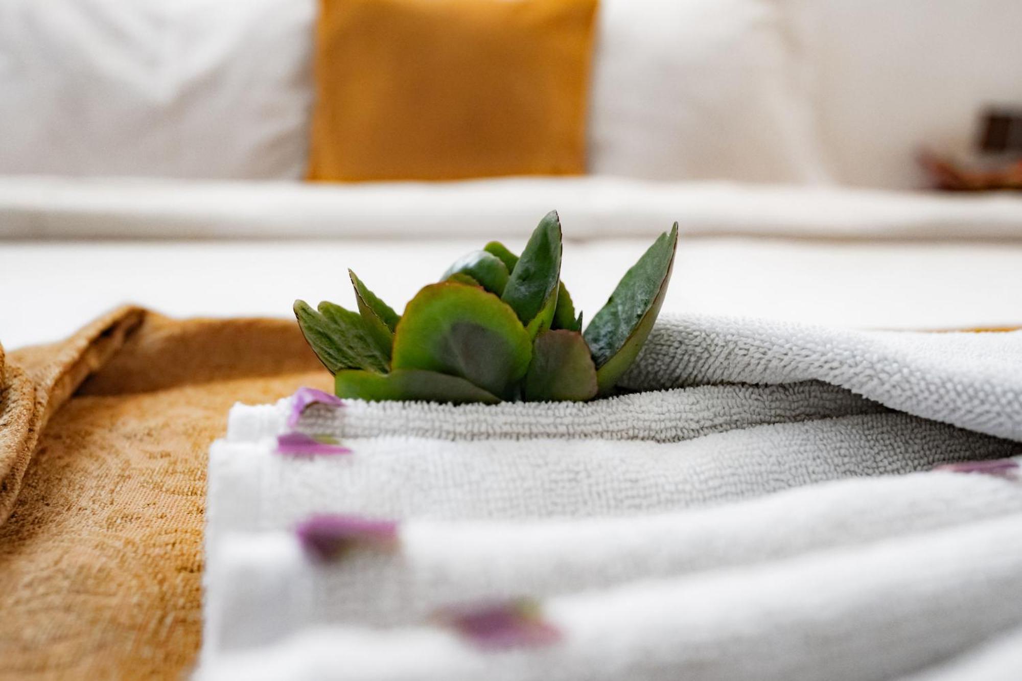 Zanzi House Otel Zanzibar Dış mekan fotoğraf